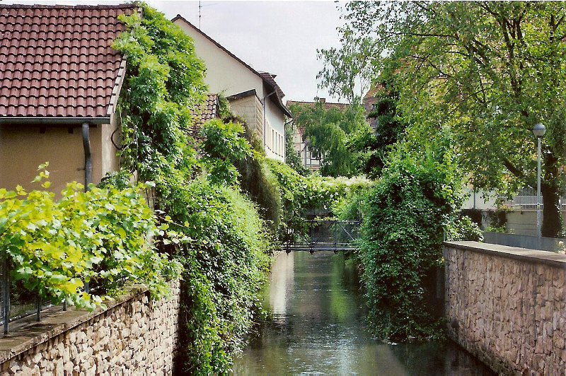 Foto - Am Leinekanal in G�ttingen