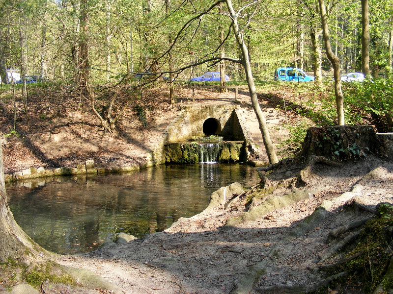 Reinsgraben bei den Schillerwiesen