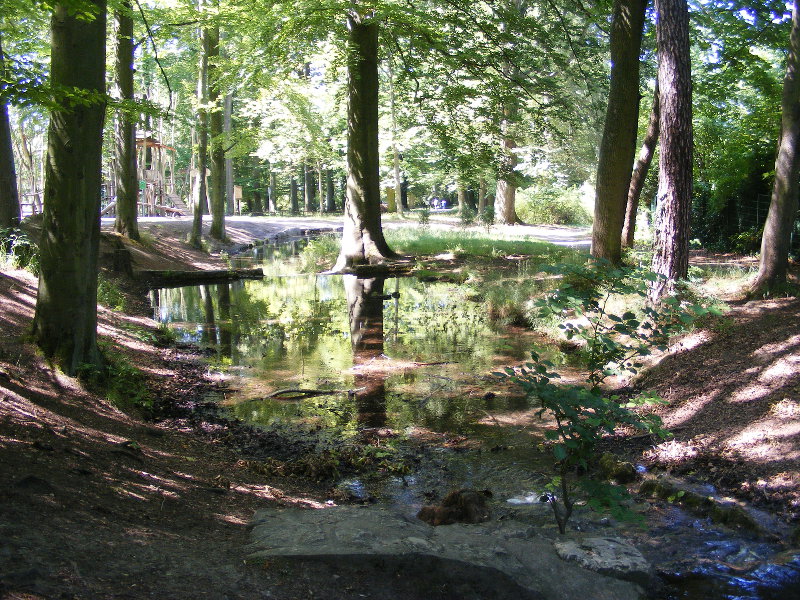 Der Reinsgraben