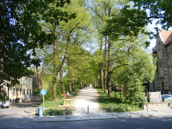 auf dem Wall in Göttingen auf dem Wall in Göttingen