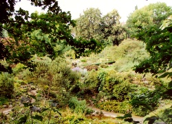 Blick in den Botanischen Garten in Göttingen Blick in den Botanischen Garten in Göttingen