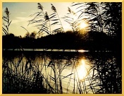 Kiessee