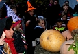 Halloween im Botanischen Garten Halloween im Botanischen Garten
