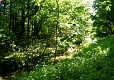 Die Grone in Göttingen Die Grone in Göttingen