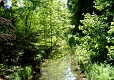 Die Grone in Göttingen Die Grone in Göttingen