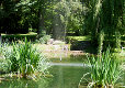 Schillerwiesen - Teich Schillerwiesen - Teich