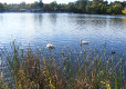 Am Kiessee in G�ttingen