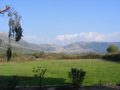 Blick aus dem Küchenfenster