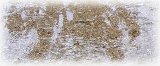 Spiegelbild in Pfütze