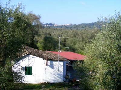Blick aus dem Fenster der Wohn-Diele