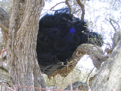 Aufbewahrungsort von Oliven-Netzen